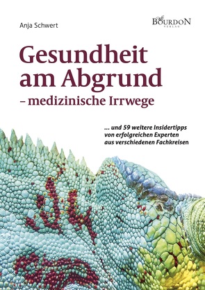 Gesundheit am Abgrund –  Medizinische Irrwege von Schwert,  Anja