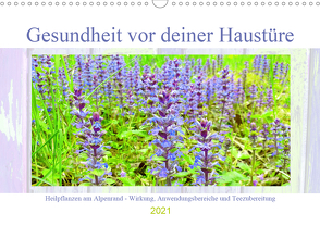 Gesundheit vor deiner Haustüre – Heilpflanzen am Alpenrand – Wirkung, Anwendungsbereiche und Teezubereitung (Wandkalender 2021 DIN A3 quer) von Schimmack,  Michaela