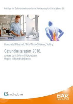 Gesundheitsreport 2018 von Hildebrandt,  Susanne, Marschall,  Jörg, Nolting,  Hans-Dieter, Sörensen,  Jelena, Storm,  Andreas, Tisch,  Thorsten, Zich,  Karsten