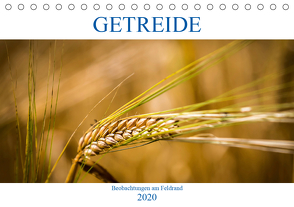 Getreide – Beobachtungen am Feldrand (Tischkalender 2020 DIN A5 quer) von von Kitzing,  Gero