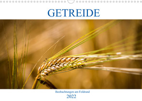 Getreide – Beobachtungen am Feldrand (Wandkalender 2022 DIN A3 quer) von von Kitzing,  Gero