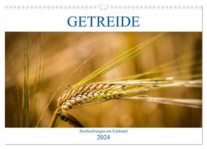 Getreide – Beobachtungen am Feldrand (Wandkalender 2024 DIN A3 quer), CALVENDO Monatskalender von von Kitzing,  Gero