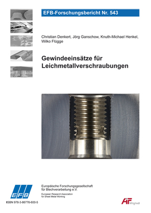 Gewindeeinsätze für Leichmetallverschraubungen von Denkert,  Christian, Flügge,  Wilko, Ganschow,  Jörg, Henkel,  Knuth-Michael