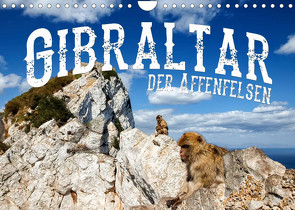 Gibraltar – der Affenfelsen (Wandkalender 2022 DIN A4 quer) von Buchspies,  Carina