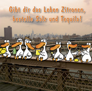 Gibt dir das Leben Zitronen, bestelle Salz und Tequila! von Holzach,  Alexander, Korsch Verlag