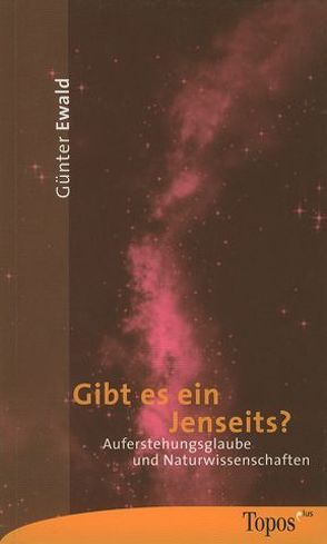 Gibt es ein Jenseits? von Ewald,  Günter