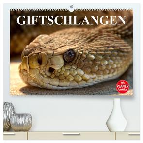 Giftschlangen (hochwertiger Premium Wandkalender 2024 DIN A2 quer), Kunstdruck in Hochglanz von Stanzer,  Elisabeth