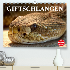 Giftschlangen (Premium, hochwertiger DIN A2 Wandkalender 2023, Kunstdruck in Hochglanz) von Stanzer,  Elisabeth