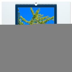 Ginkgo (hochwertiger Premium Wandkalender 2024 DIN A2 hoch), Kunstdruck in Hochglanz von Jäger,  Anette