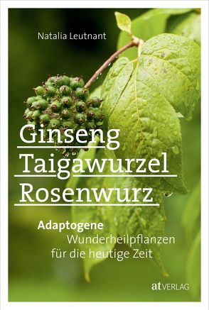 Ginseng, Taigawurzel, Rosenwurz von Leutnant,  Natalia