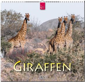 Giraffen