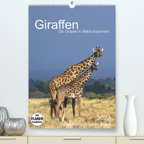 Giraffen – Die Grazien in Afrikas Savannen (Premium, hochwertiger DIN A2 Wandkalender 2023, Kunstdruck in Hochglanz) von Tewes,  Rainer