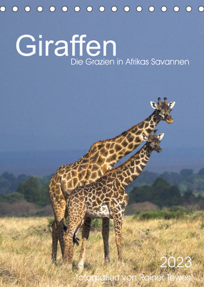 Giraffen – Die Grazien in Afrikas Savannen (Tischkalender 2023 DIN A5 hoch) von Tewes,  Rainer