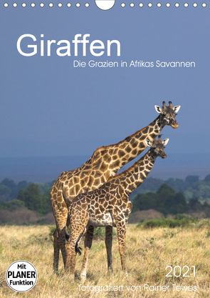 Giraffen – Die Grazien in Afrikas Savannen (Wandkalender 2021 DIN A4 hoch) von Tewes,  Rainer