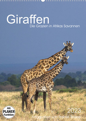 Giraffen – Die Grazien in Afrikas Savannen (Wandkalender 2023 DIN A2 hoch) von Tewes,  Rainer