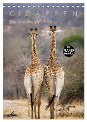 Giraffen – Die Riesen Afrikas (Tischkalender 2024 DIN A5 hoch), CALVENDO Monatskalender von Pavlowsky Photography,  Markus