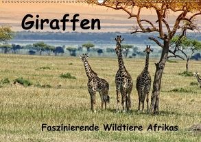 Giraffen. Faszinierende Wildtiere Afrikas (Wandkalender 2018 DIN A2 quer) von Michel,  Susan