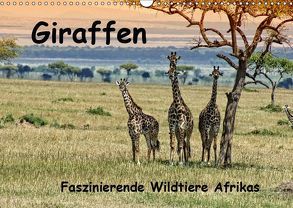 Giraffen. Faszinierende Wildtiere Afrikas (Wandkalender 2019 DIN A3 quer) von Michel,  Susan