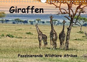 Giraffen. Faszinierende Wildtiere Afrikas (Wandkalender 2019 DIN A4 quer) von Michel,  Susan