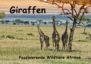 Giraffen. Faszinierende Wildtiere Afrikas (Wandkalender 2020 DIN A2 quer) von Michel,  Susan