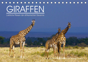 GIRAFFEN – Liebliche Riesen der afrikanischen Savanne (Tischkalender 2023 DIN A5 quer) von Tewes,  Rainer