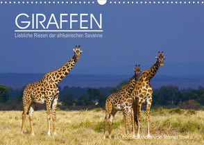 GIRAFFEN – Liebliche Riesen der afrikanischen Savanne (Wandkalender 2023 DIN A3 quer) von Tewes,  Rainer