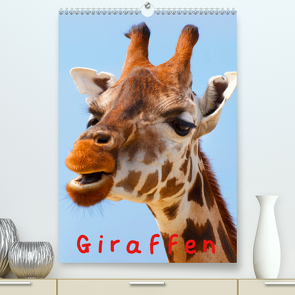 Giraffen (Premium, hochwertiger DIN A2 Wandkalender 2021, Kunstdruck in Hochglanz) von Stanzer,  Elisabeth