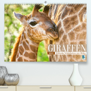 Giraffen: Schlanke Schönheiten aus Afrika (Premium, hochwertiger DIN A2 Wandkalender 2022, Kunstdruck in Hochglanz) von CALVENDO