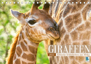 Giraffen: Schlanke Schönheiten aus Afrika (Tischkalender 2022 DIN A5 quer) von CALVENDO