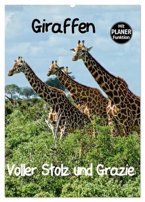 Giraffen. Voller Stolz und Grazie (Wandkalender 2024 DIN A2 hoch), CALVENDO Monatskalender von Michel,  Susan