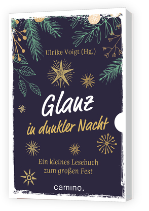 Glanz in dunkler Nacht von Voigt,  Ulrike