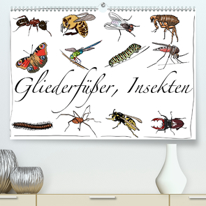 Gliederfüßer und Insekten (Premium, hochwertiger DIN A2 Wandkalender 2021, Kunstdruck in Hochglanz) von Conrad,  Ralf