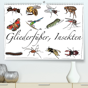 Gliederfüßer und Insekten (Premium, hochwertiger DIN A2 Wandkalender 2022, Kunstdruck in Hochglanz) von Conrad,  Ralf