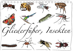 Gliederfüßer und Insekten (Tischkalender 2022 DIN A5 quer) von Conrad,  Ralf