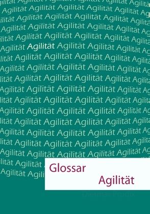 Glossar Agilität von Prudix,  Dietmar