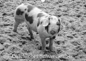 Glückliches Schweineleben (Posterbuch DIN A3 quer) von Kattobello,  k.A.