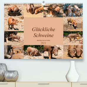 Glückliche Schweine Berkshire-Iberico Ferkel (Premium, hochwertiger DIN A2 Wandkalender 2021, Kunstdruck in Hochglanz) von Bölts,  Meike