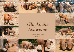 Glückliche Schweine Berkshire-Iberico Ferkel (Tischkalender 2022 DIN A5 quer) von Bölts,  Meike