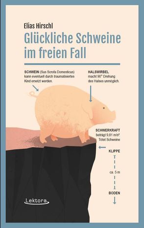 Glückliche Schweine im freien Fall von Hirschl,  Elias