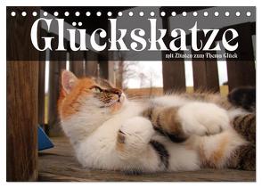 Glückskatze – Mit Zitaten zum Thema Glück (Tischkalender 2024 DIN A5 quer), CALVENDO Monatskalender von Gsödl,  Michael