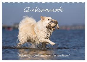 Glücksmomente – Unterwegs mit meinem Islandhund (Wandkalender 2024 DIN A2 quer), CALVENDO Monatskalender von Scheurer,  Monika