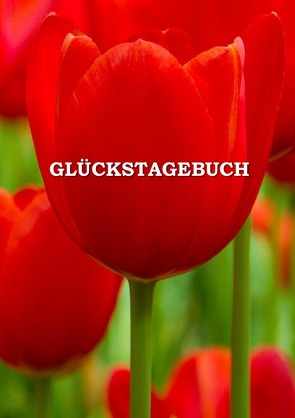 Glückstagebuch von Miskovics,  Gábor