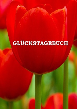 Glückstagebuch von Miskovics,  Gábor