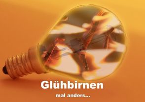 Glühbirnen mal anders… (Posterbuch DIN A3 quer) von Peter,  Gisela