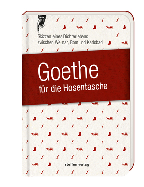 Goethe für die Hosentasche von Seyfarth,  Göran