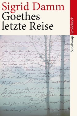 Goethes letzte Reise von Damm,  Sigrid