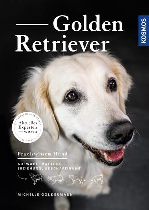 Golden Retriever von Goldermann,  Michelle