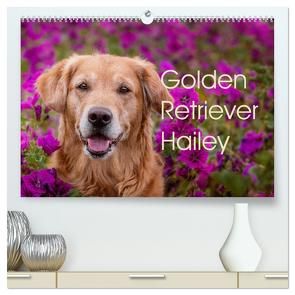 Golden Retriever Hailey Fotokalender (hochwertiger Premium Wandkalender 2024 DIN A2 quer), Kunstdruck in Hochglanz von Hofmeister,  Daniela