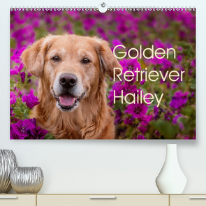 Golden Retriever Hailey Fotokalender (Premium, hochwertiger DIN A2 Wandkalender 2021, Kunstdruck in Hochglanz) von Hofmeister,  Daniela