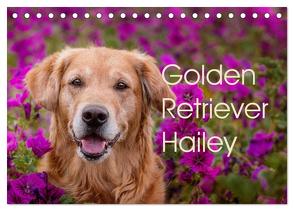 Golden Retriever Hailey Fotokalender (Tischkalender 2024 DIN A5 quer), CALVENDO Monatskalender von Hofmeister,  Daniela